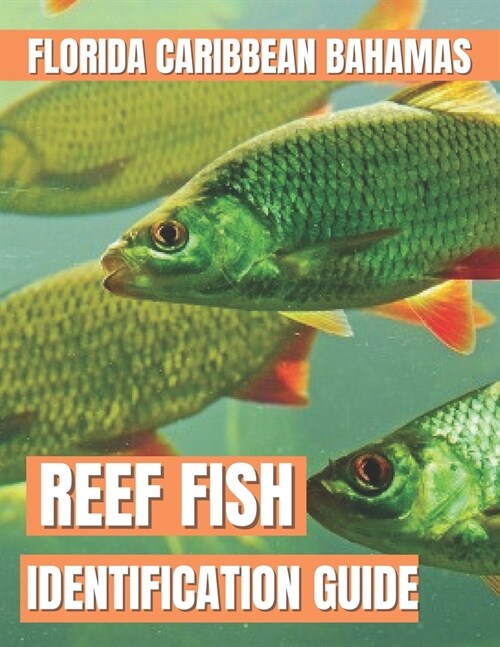 Reef Fish Identification Guide : Florida Caribbean Bahamas (Paperback)