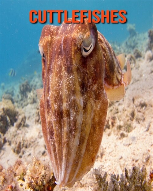 Cuttlefishes : Beautiful Pictures & Interesting Facts Children Book About Cuttlefishes (Paperback)