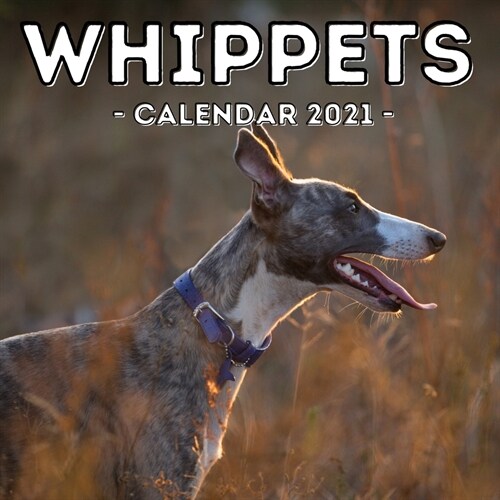 Whippets Calendar 2021: 16-Month Calendar, Cute Gift Idea For Whippet Lovers Women & Men (Paperback)