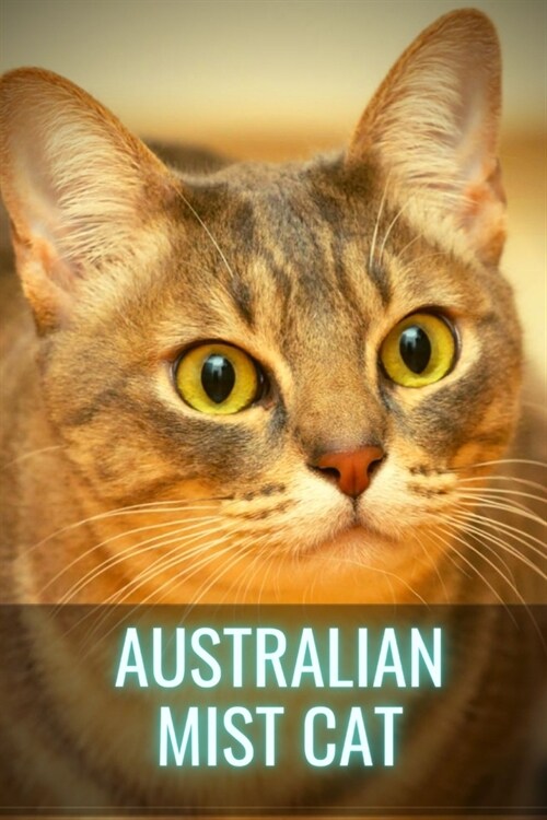 Australian Mist Cat: Your Complete Breed Information Guide (Paperback)