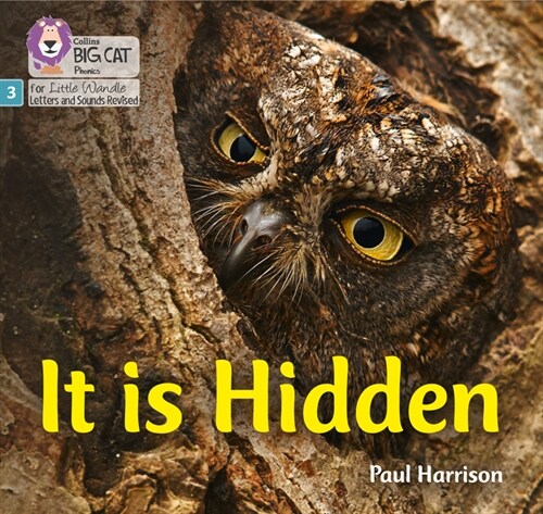 It is Hidden : Phase 3 Set 2 (Paperback)