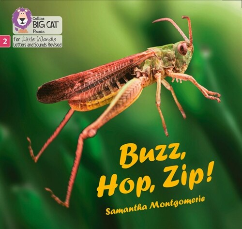 Buzz, Hop, Zip! : Phase 2 Set 5 (Paperback)