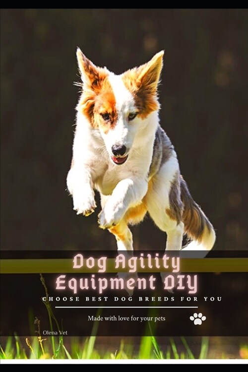Dog Agility Equipment DIY: Choose best dog breeds for you (Paperback)