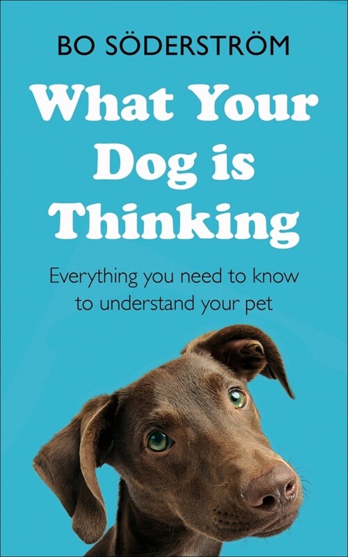 What Your Dog Is Thinking : Everything you need to know to understand your pet (Paperback)