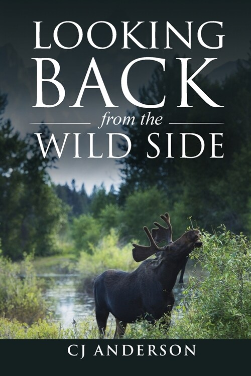 Looking Back from the Wild Side (Paperback)