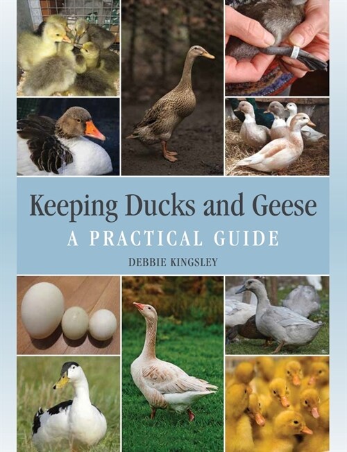 Keeping Ducks and Geese : A Practical Guide (Hardcover)