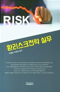 환리스크전략 실무