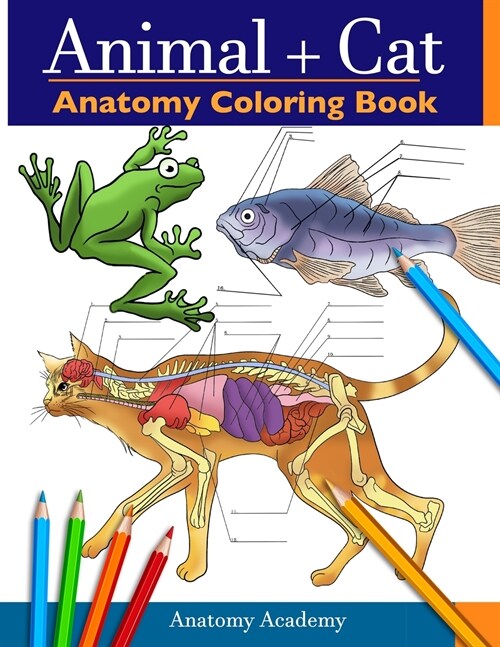 Animal & Cat Anatomy Coloring Book: 2-in-1 Compilation Incredibly Detailed Self-Test Veterinary & Feline Anatomy Color workbook (Paperback)