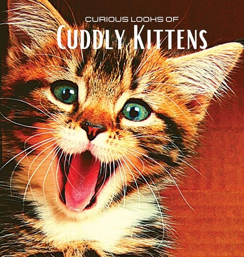 Curious looks of Cuddly Kittens: Colour photo album with beautiful kittens. Gift idea for lovers of small felines and nature. Photo book with close-up (Hardcover)