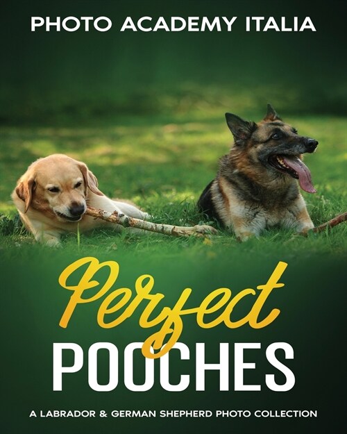 Perfect Pooches: A Labrador and German Shepherd Photo Collection (Paperback)