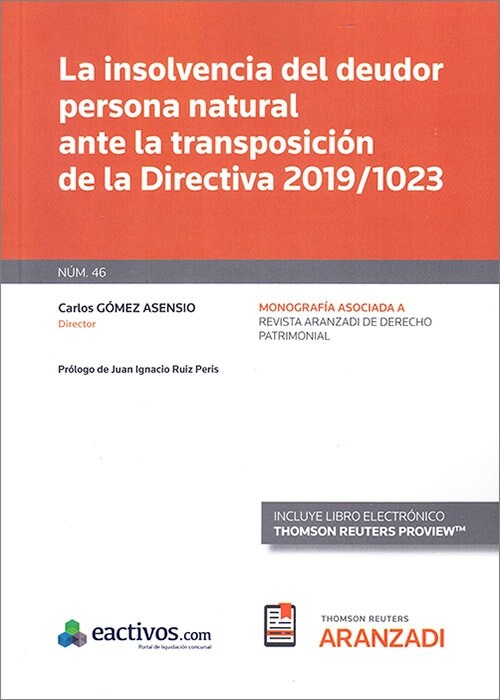INSOLVENCIA DEL DEUDOR PERSONA NATURAL ANTE TRANSPOSICION (Hardcover)