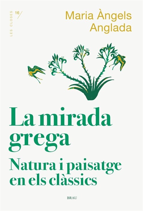 LA MIRADA GREGA (Paperback)