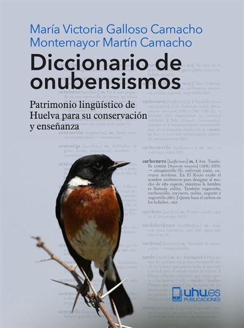 DICCIONARIO DE ONUBENSISMOS (Hardcover)