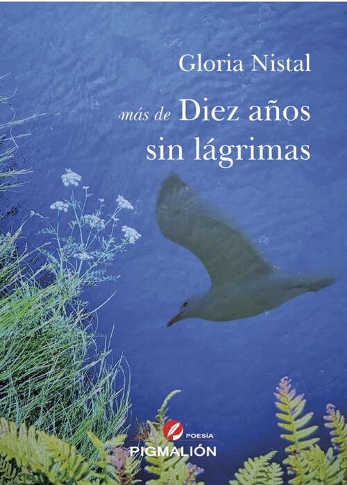 MAS DE DIEZ ANOS SIN LAGRIMAS (Hardcover)