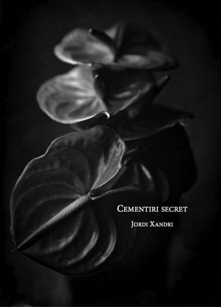 Cementiri secret (Book)