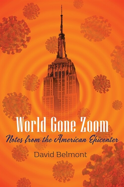 World Gone Zoom: Notes from the American Epicenter (Paperback)