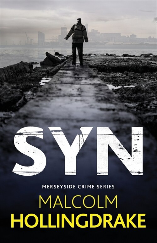 Syn (Paperback)