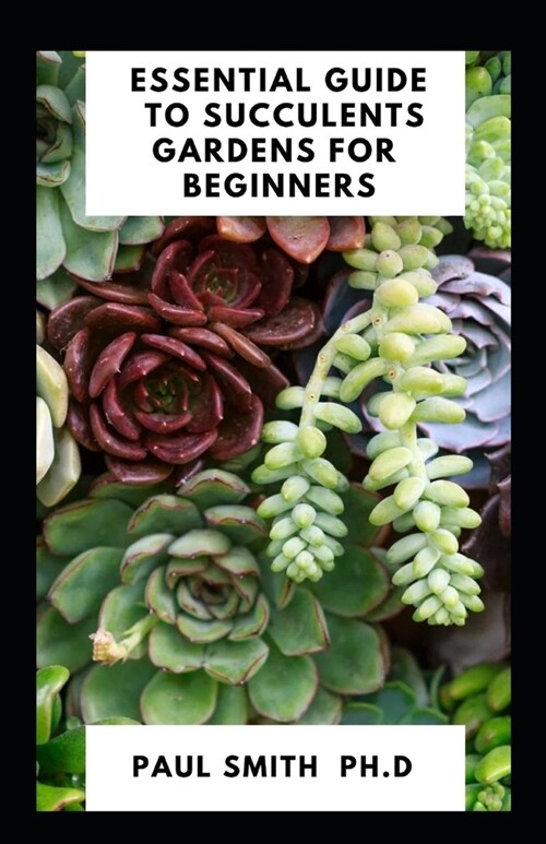 Essential Guide to Succulents Gardens for Beginners (Paperback)