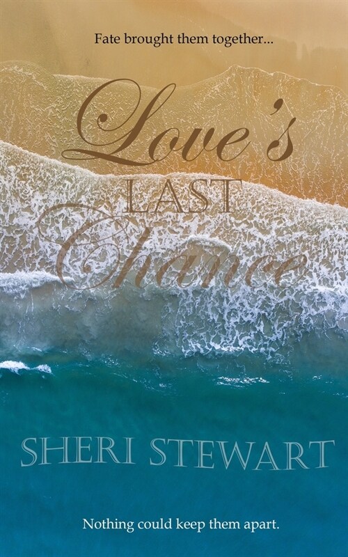 Loves Last Chance (Paperback)