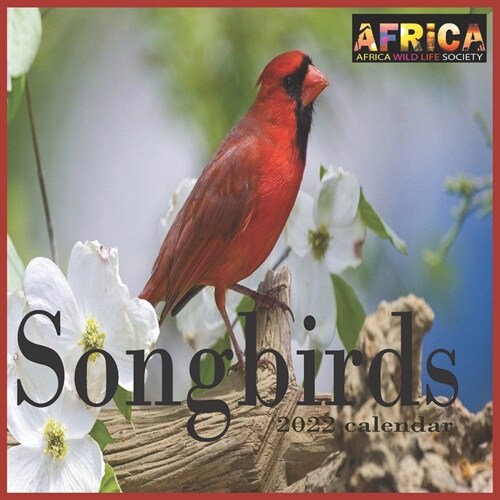 Songbirds calendar 2022: 12 Month Mini Calendar from Jan 2022 to Dec 2022, Cute Gift Idea - Pictures in Every Month (Paperback)