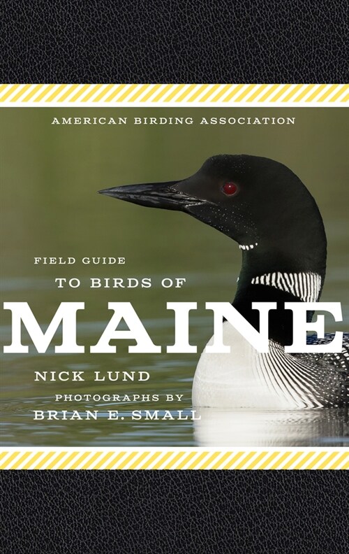 American Birding Association Field Guide to Birds of Maine (Paperback)