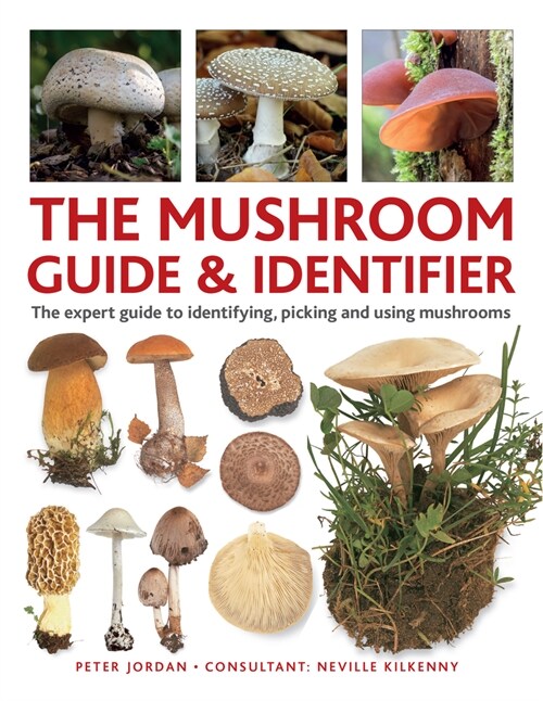 The Mushroom Guide & Identifer : An expert manual for identifying, picking and using edible wild mushrooms found in the British Isles (Hardcover)