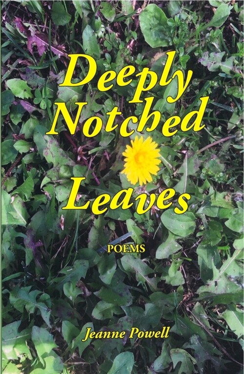 Deeply Notched Leaves (Paperback)