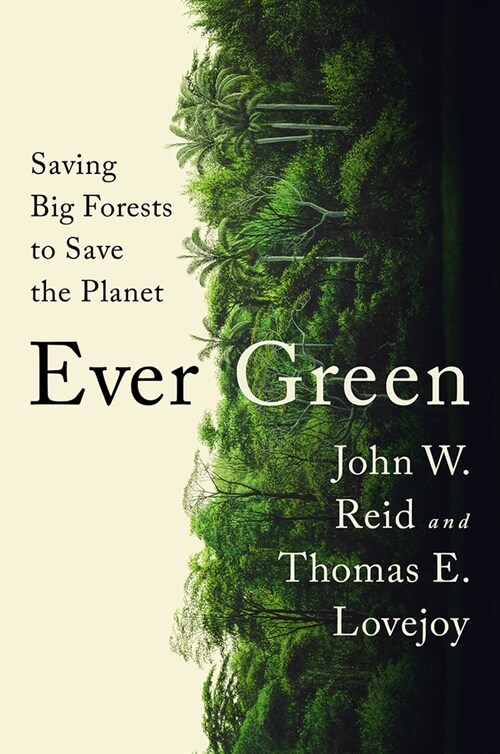 Ever Green: Saving Big Forests to Save the Planet (Hardcover)