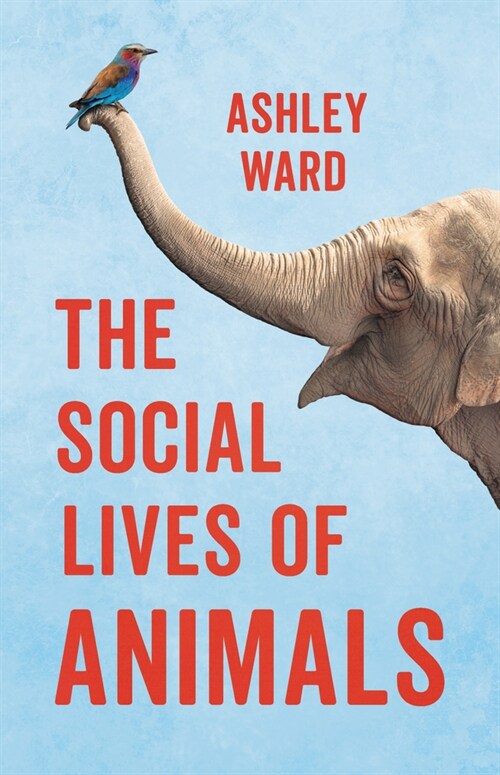 The Social Lives of Animals (Hardcover)