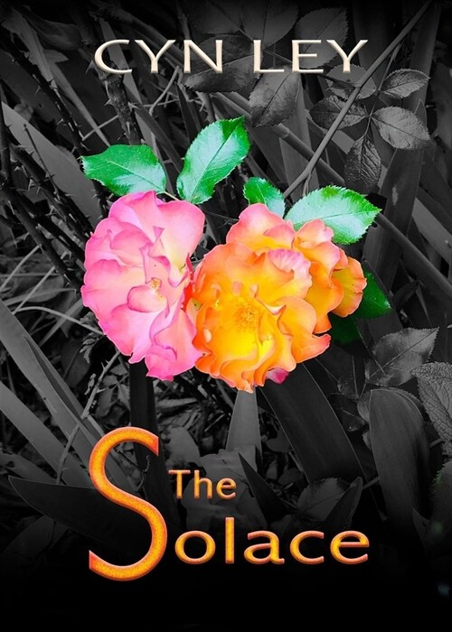 The Solace (Paperback)
