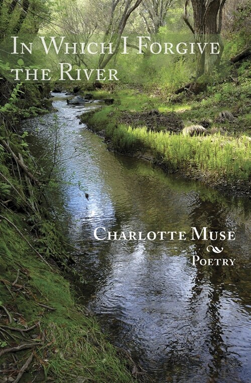 In Which I Forgive the River (Paperback)