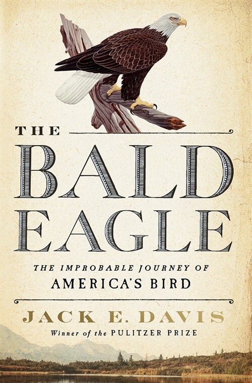The Bald Eagle: The Improbable Journey of Americas Bird (Hardcover)