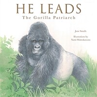 He leads: mountain gorilla, the gentle giant