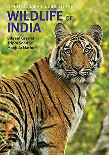 A Photographic Guide to the Wildlife of India (Paperback)