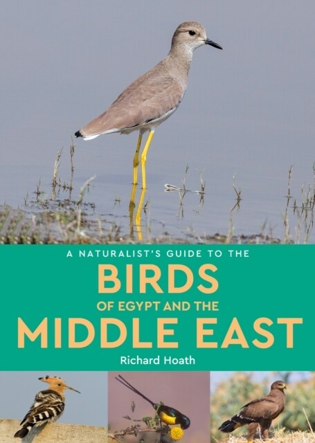 A Naturalists Guide to the Birds of Egypt and the Middle East (Paperback)