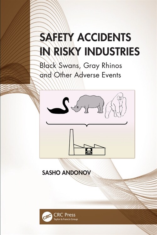 Safety Accidents in Risky Industries : Black Swans, Gray Rhinos and Other Adverse Events (Hardcover)