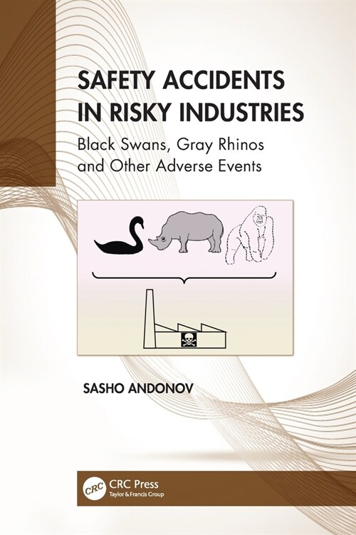Safety Accidents in Risky Industries : Black Swans, Gray Rhinos and Other Adverse Events (Paperback)