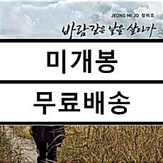 [중고] 정미조 - 바람같은 날을 살다가