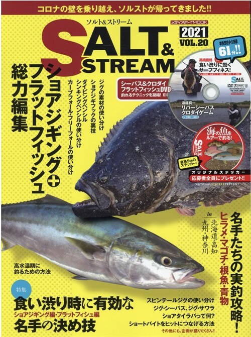 SALT&STREAM VOL.20 (メディアボ-イMOOK)