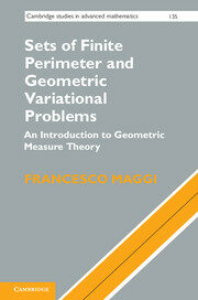 Sets of Finite Perimeter and Geometric Variational Problems