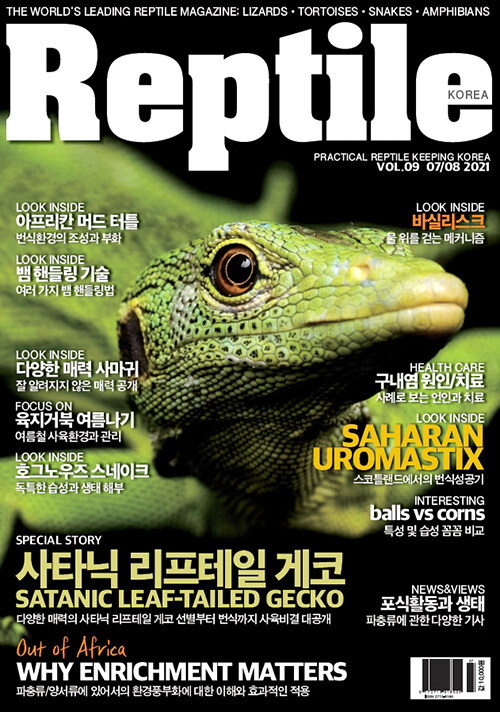 Reptile KOREA 렙타일 코리아 2021.7.8