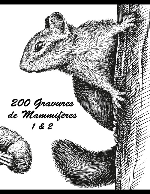 200 Gravures de Mammif?es 1 & 2 (Paperback)