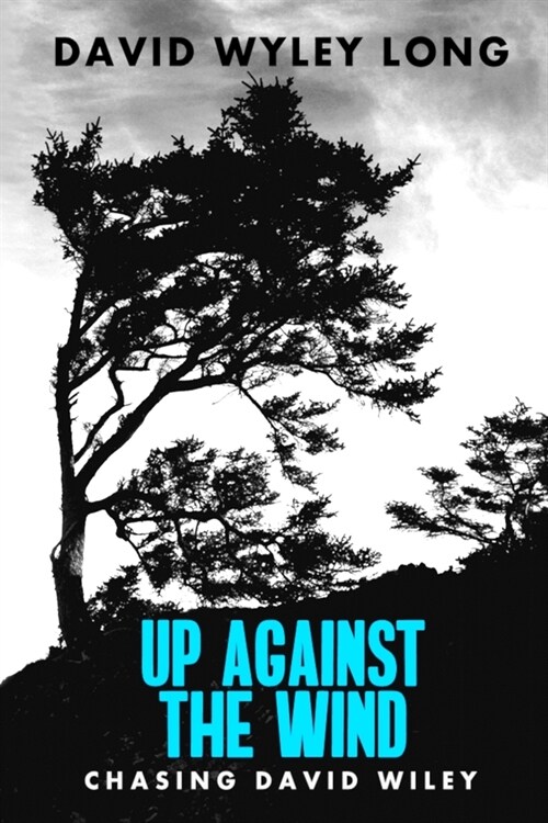 Up Against the Wind: Chasing David Wiley (Paperback)