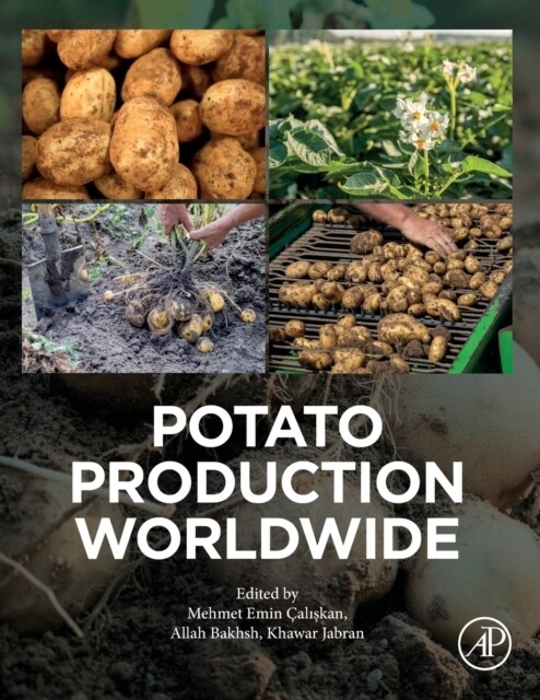 Potato Production Worldwide (Paperback)