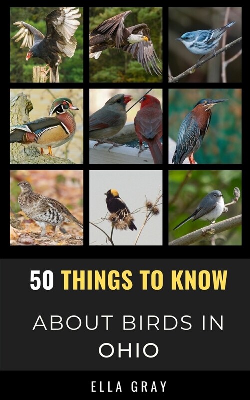 50 Things to Know About Birds in Ohio: Birding in the Buckeye State (Paperback)