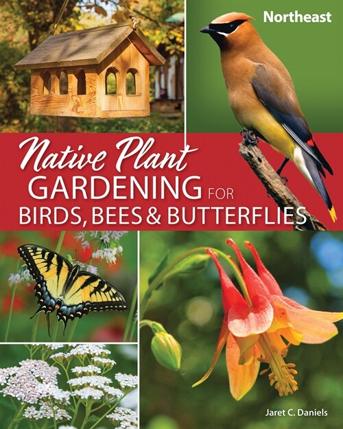 Native Plant Gardening for Birds, Bees & Butterflies: Northeast (Paperback)