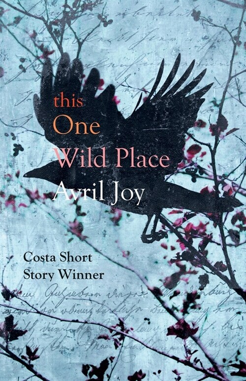 this One Wild Place (Paperback)