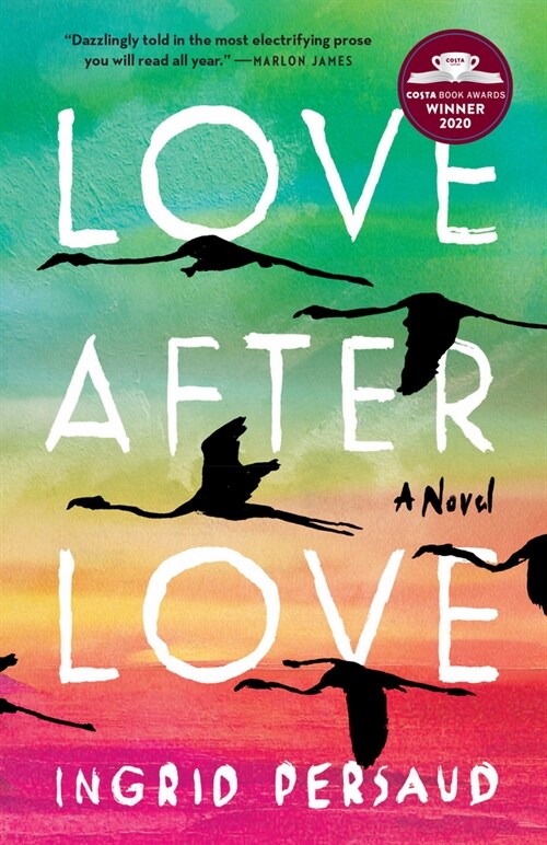 Love After Love (Paperback)