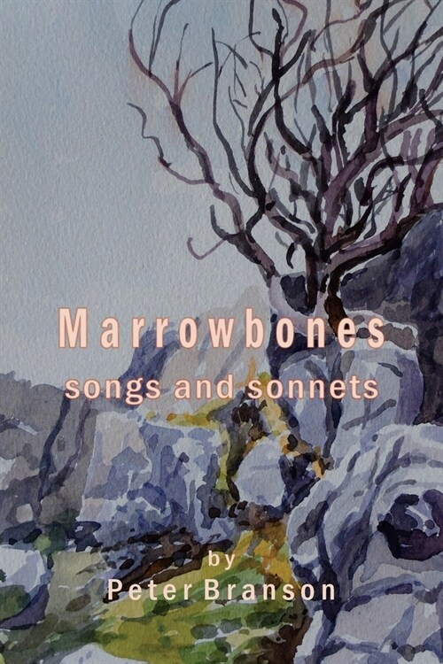 Marrowbones (Paperback)