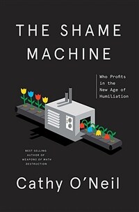 The shame machine : who profits in the new age of humiliation / 1st ed